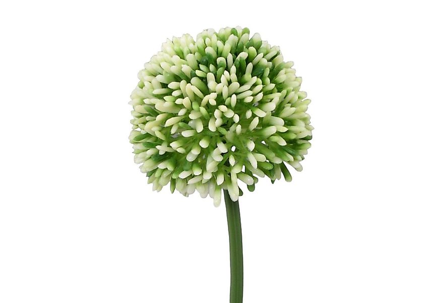 Kunstblume Kunstblume ALLIUM ca 44cm. Blütenkopf ca 6,5cm., Gasper, Höhe 44 günstig online kaufen