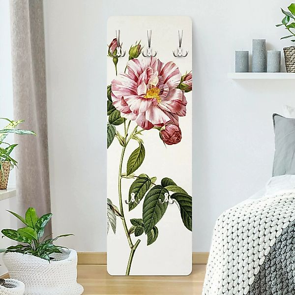 Wandgarderobe Holzpaneel Blumen Pierre Joseph Redouté - Rosa Gallica-Rose günstig online kaufen