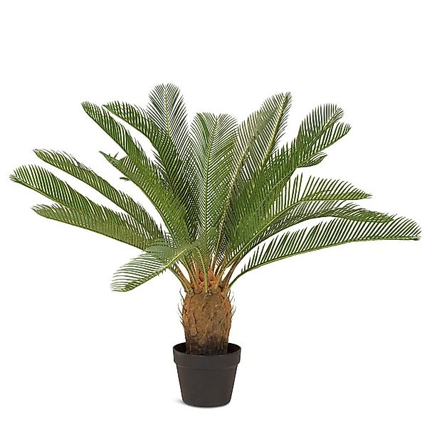 Palmfarn Cycas Kunstpflanze, 85 cm günstig online kaufen