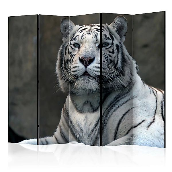 5-teiliges Paravent - Bengali Tiger In Zoo Ii [room Dividers] günstig online kaufen