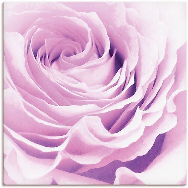 Artland Wandbild »Pastell Rose« 1 Stk. tlg. als Leinwandbild, Poster, Wanda günstig online kaufen