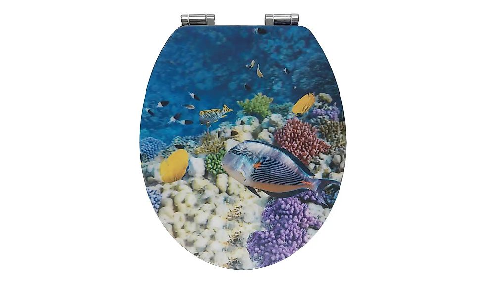 WC Sitz   ¦ blau ¦ Kunststoff ¦ Maße (cm): B: 38 T: 44.5 Badzubehör - Höffn günstig online kaufen