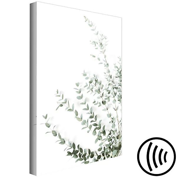 Wandbild Eucalyptus Parvifolia (1 Part) Vertical XXL günstig online kaufen