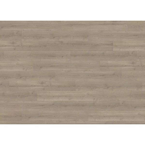 Living by Haro Laminat 7 mm Eiche Langley Grau günstig online kaufen