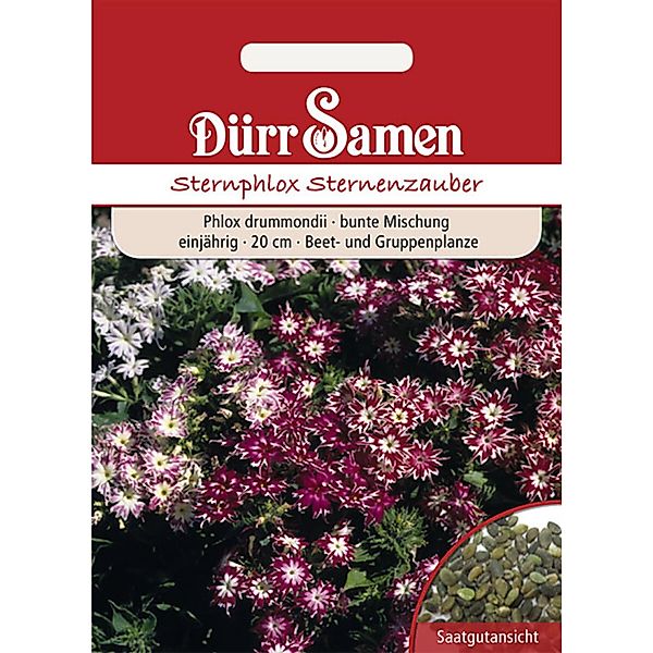 Dürr Samen Sternphlox Mischung Einjährig Saatgut günstig online kaufen