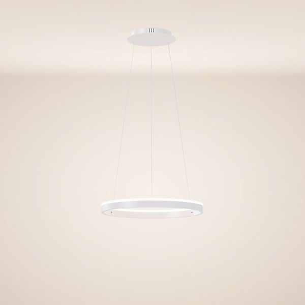 s.luce Pendelleuchte LED Ring Pendelleuchte rund günstig online kaufen