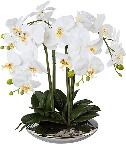 Kunstorchidee Deko-Orchidee Phalaenopsis in Keramikschale Orchidee günstig online kaufen