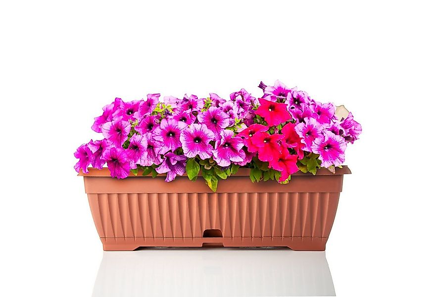BigDean Blumenkasten Blumenkasten 50 cm mit abnehmbarem Untersetzer Balkonk günstig online kaufen