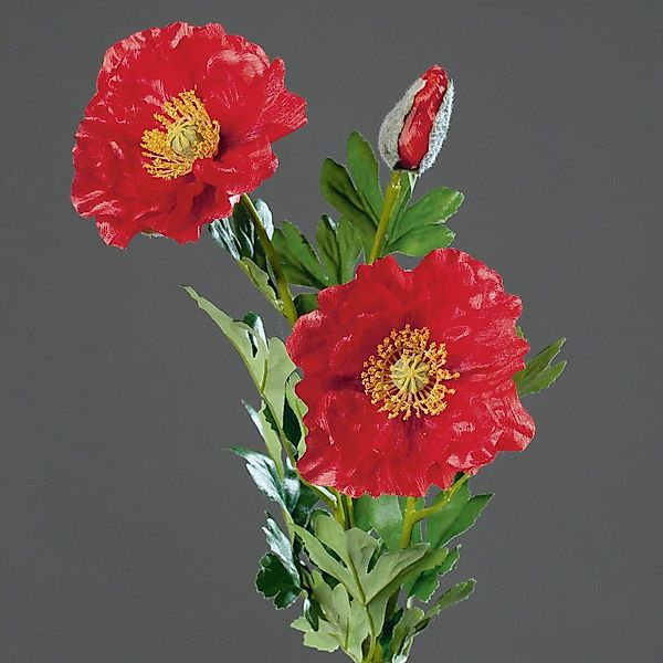 Kunstblume Rot, Durchmesser 13 cm, DPI, günstig online kaufen