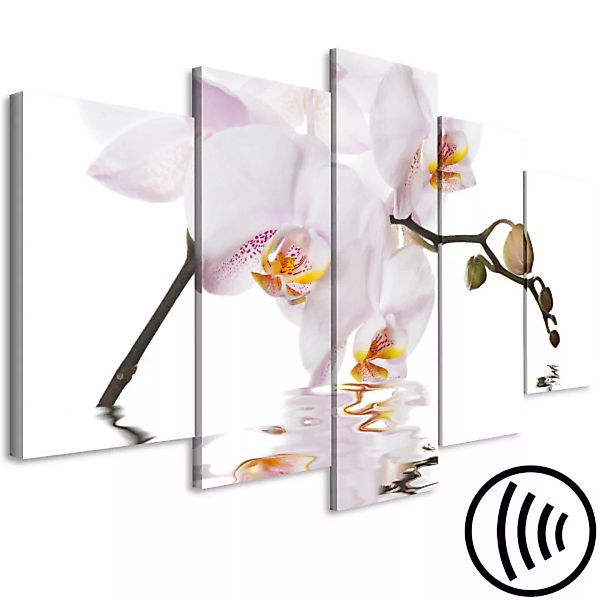 Wandbild Delightful Orchid (5 Parts) Wide XXL günstig online kaufen
