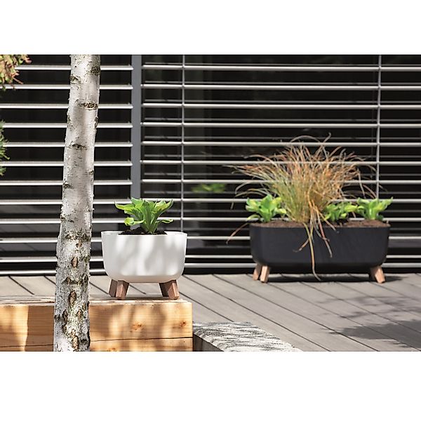 Prosperplast Blumentopf Gracia Square, Blumentopf mit günstig online kaufen