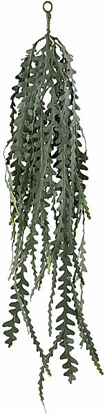 Creativ green Kunstranke "Hängepflanze Epiphyllum anguliger", mit detailget günstig online kaufen