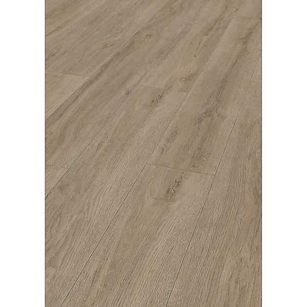 Jangal Laminatboden Oak National Park Line Pro Redwood günstig online kaufen