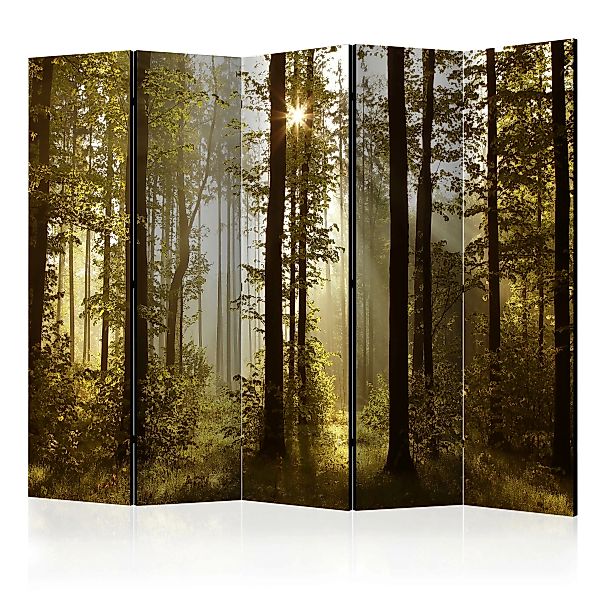5-teiliges Paravent - Forest: Morning Sunlight  Ii [room Dividers] günstig online kaufen