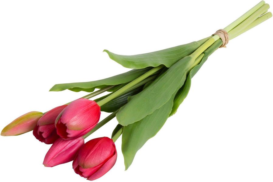 my home Kunstblume "Tulpenbündel Holland real Touch" günstig online kaufen