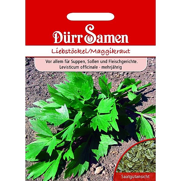 Dürr Samen Liebstöckel/ Maggiekraut Saatgut günstig online kaufen