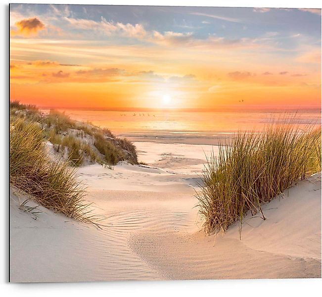 Reinders! Deco-Panel Ameland günstig online kaufen