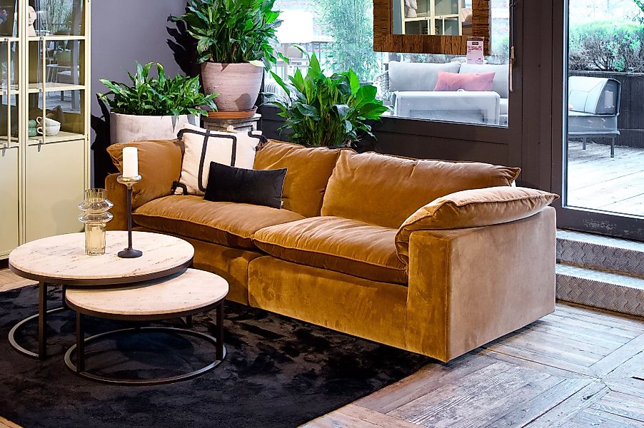 3-Sitzer Sofa Idle in braunem Samtbezug günstig online kaufen