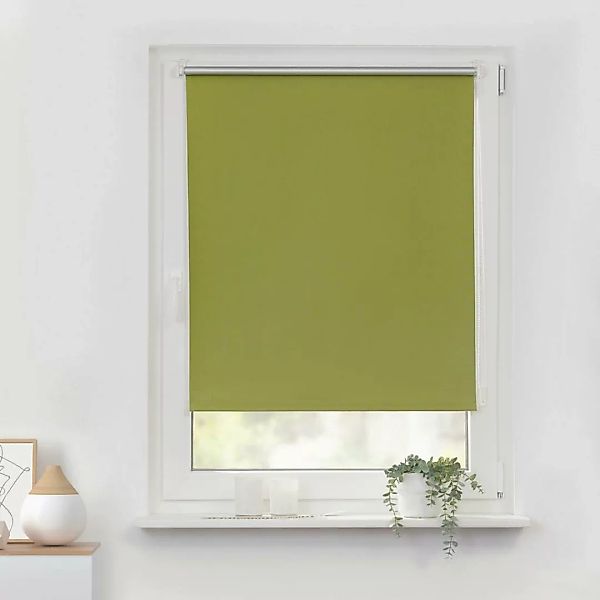 Thermo Klebe-/Klemmrollo Verdunklungsqualität grün B/L: ca. 70x220 cm günstig online kaufen