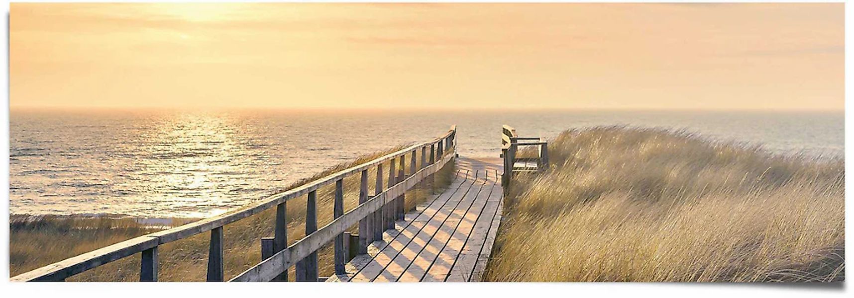 Reinders Poster "Weg zum Strand" 1 Stk. tlg. günstig online kaufen