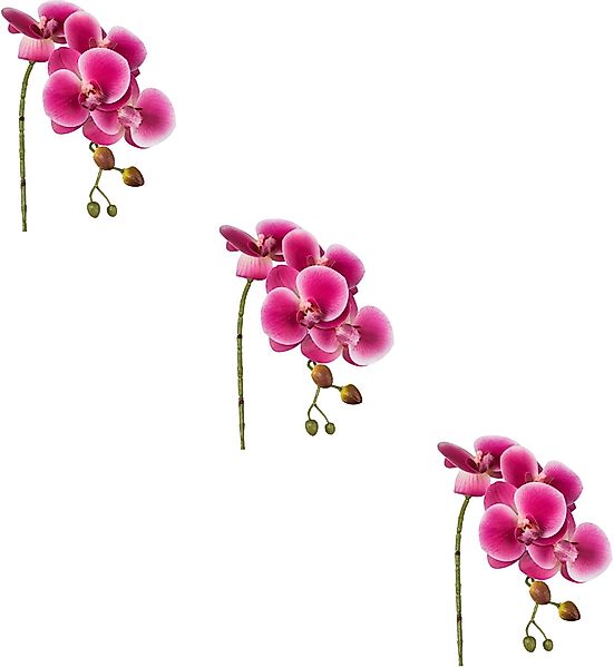 Kunstblume Phalaenopsis 3D-print Orchidee Phalaenopsis, Creativ günstig online kaufen