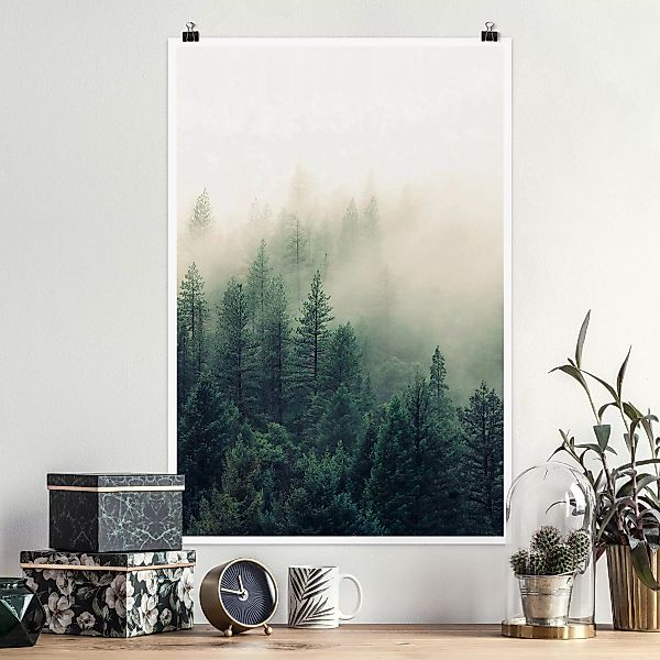 Poster Wald im Nebel Erwachen günstig online kaufen