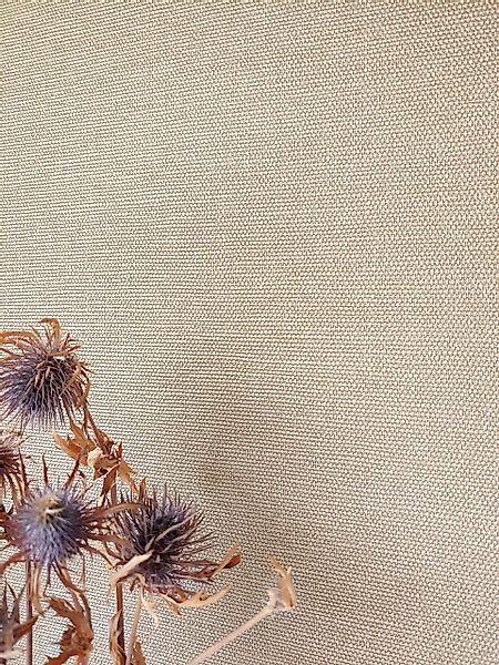 Newroom Vliestapete, Beige Tapete Uni Leicht günstig online kaufen
