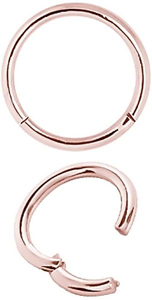 Karisma Nasenpiercing Hinged Titan G23 Segmenring günstig online kaufen
