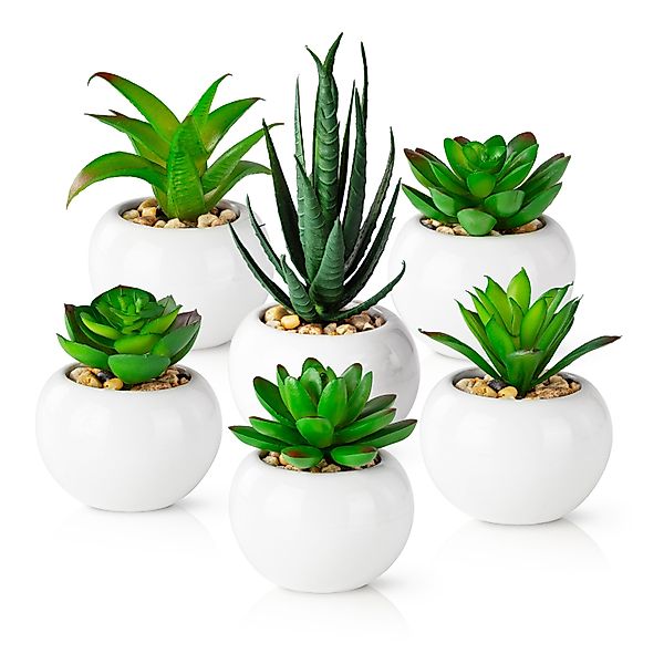 Künstliche Zimmerpflanze Kleine Kunstpflanzen & Künstliche günstig online kaufen