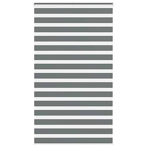 vidaXL Doppelrollo Dunkelgrau 125x200 cm Stoffbreite 120,9 cm Polyester 401 günstig online kaufen