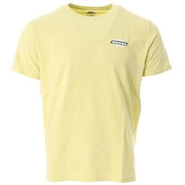 Dickies  T-Shirts & Poloshirts DK0A4XDDB541 günstig online kaufen