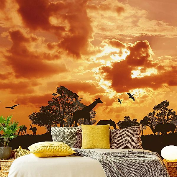 Fototapete Tanzania Sunset günstig online kaufen