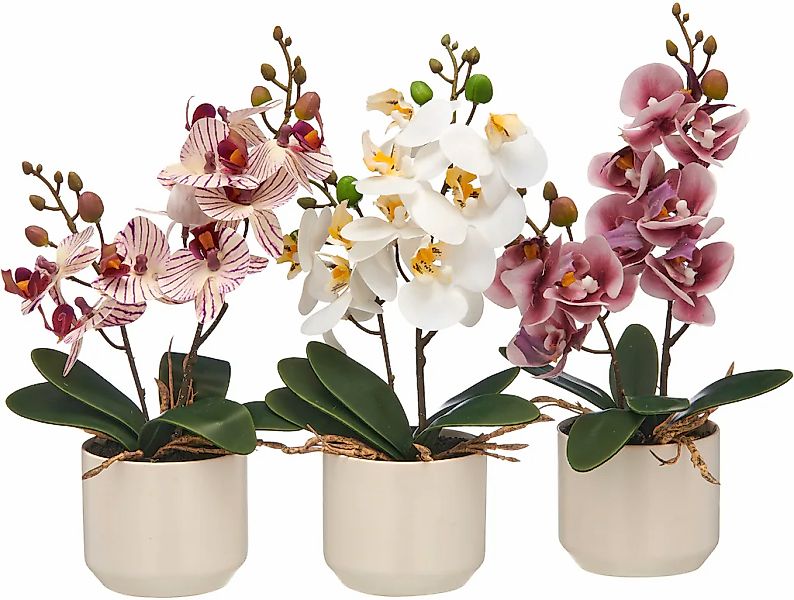 Creativ green Kunstorchidee "Orchidee Phalaenopsis", mit real-touch-Blüten günstig online kaufen