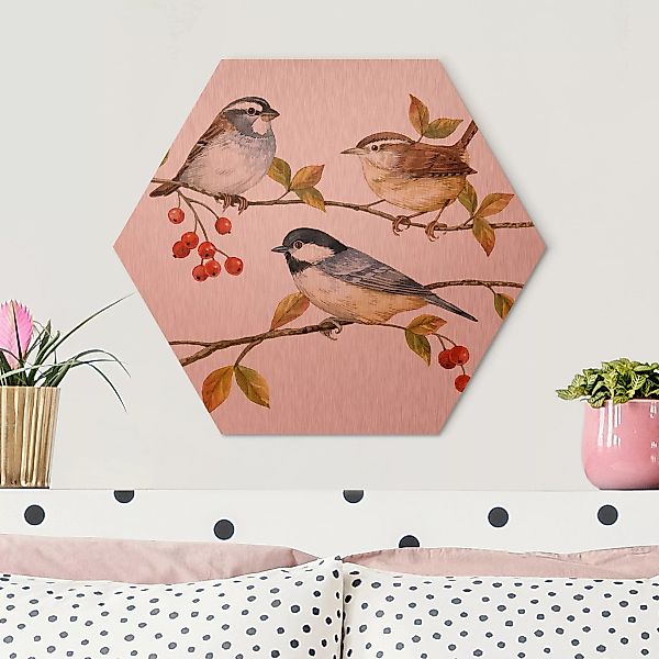Hexagon-Alu-Dibond Bild Tiere Vögel und Beeren - Meisen günstig online kaufen