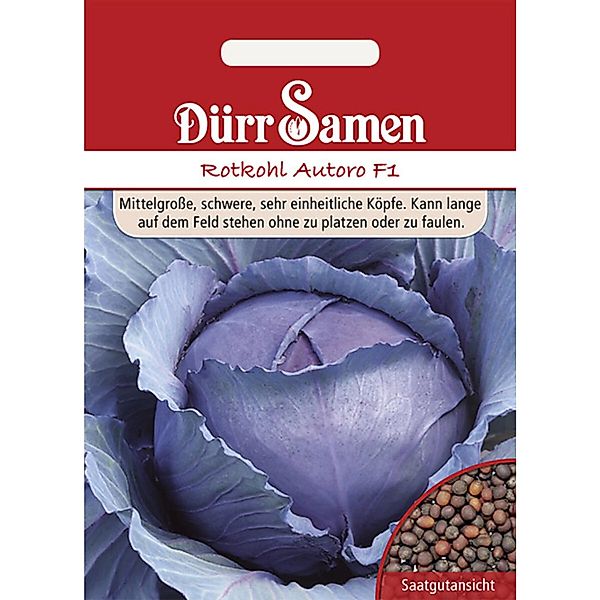 Dürr Samen Rotkohl Autoro F1 Saatgut günstig online kaufen