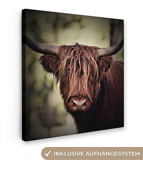 OneMillionCanvasses® Leinwandbild Schottischer Hochländer - Licht - Porträt günstig online kaufen