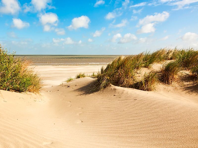 Papermoon Fototapete "Dunes Knokke-Heist" glatt günstig online kaufen