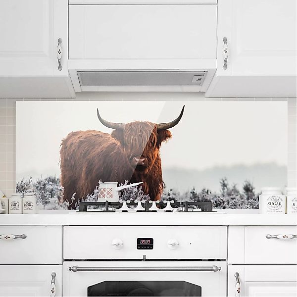 Glas Spritzschutz Tiere - Panorama Bison in den Highlands günstig online kaufen