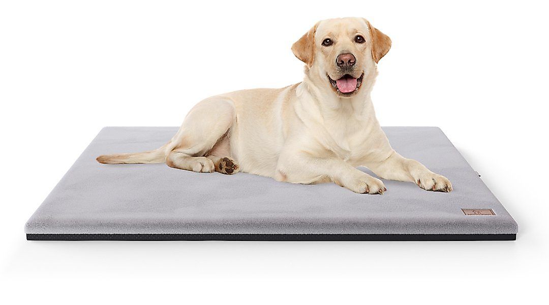 Knuffelwuff Hundematte Berrith, Orthopädisch günstig online kaufen