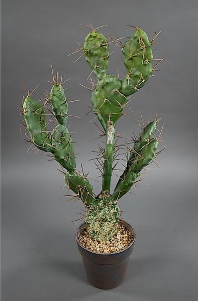 Kunstkaktus Ohrenkaktus Natura 60x30cm im Topf DP Kunstpflanzen künstlicher günstig online kaufen