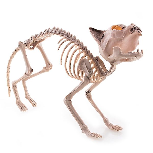 Funny Fashion Dekoobjekt Gruseliges Katzen Skelett günstig online kaufen