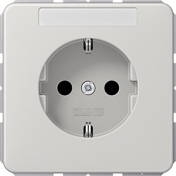 Jung SCHUKO-Steckdose 16A 250V mit Schriftfeld CD 1520 NA LG - CD1520NALG günstig online kaufen