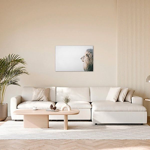 A.S. Création Leinwandbild "Lion In Snow - Wandbild Weiß Creme Beige Keilra günstig online kaufen