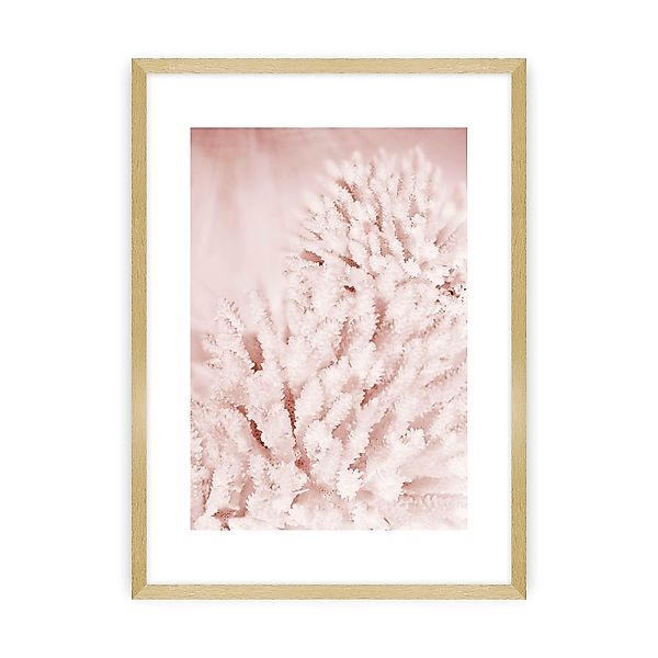 Poster Pastel Pink II, 50 x 70 cm, Rahmen wählen: goldener Rahmen günstig online kaufen