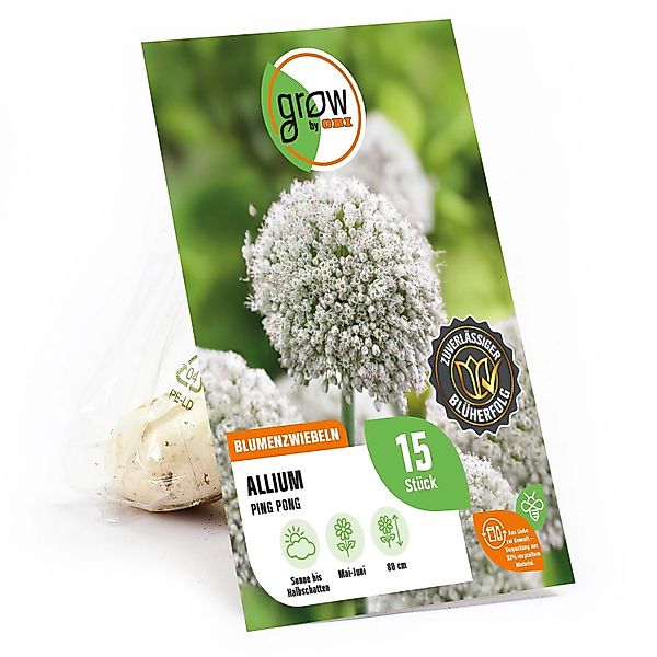 GROW by OBI Zierlauch Ping Pong Weiß 15 Stück Allium ampeloprasum Ping Pong günstig online kaufen