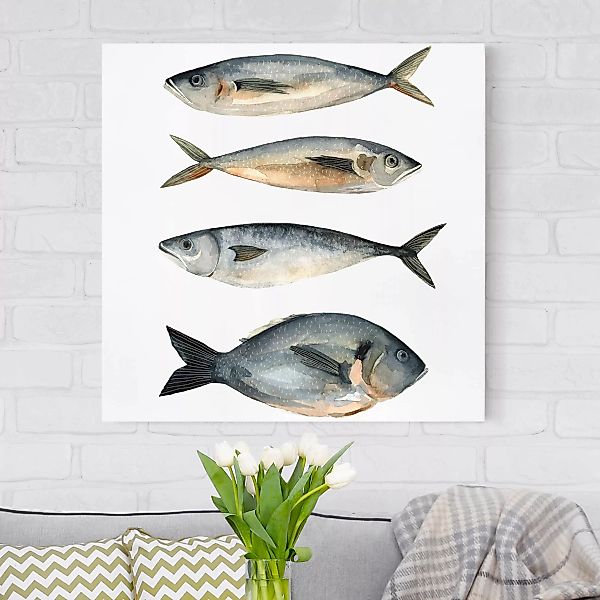 Leinwandbild Botanik - Quadrat Vier Fische in Aquarell I günstig online kaufen