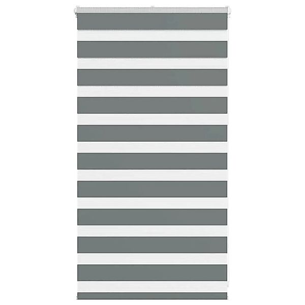 vidaXL Doppelrollo Dunkelgrau 70x100 cm Stoffbreite 65,9 cm Polyester 40140 günstig online kaufen