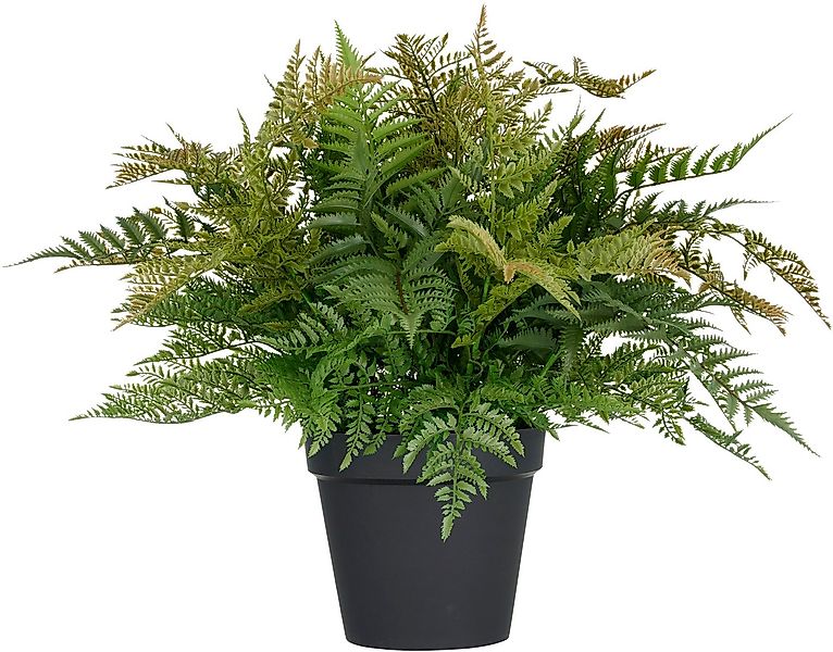 Kunstpflanze Farn, Creativ green, Höhe 70 cm, in UV-beständiger Ausführung günstig online kaufen