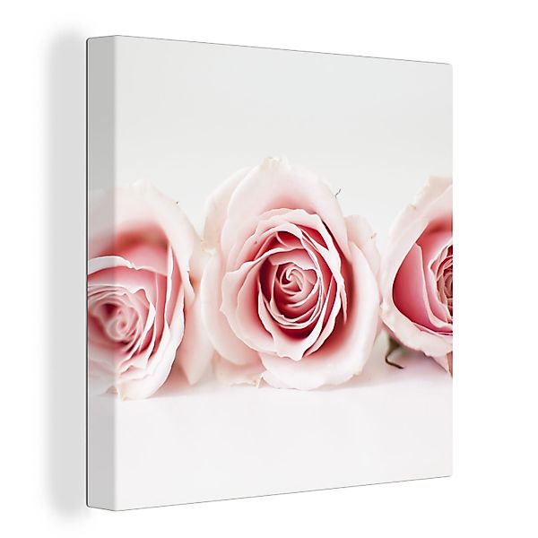 OneMillionCanvasses® Leinwandbild Studioaufnahme von drei rosa günstig online kaufen
