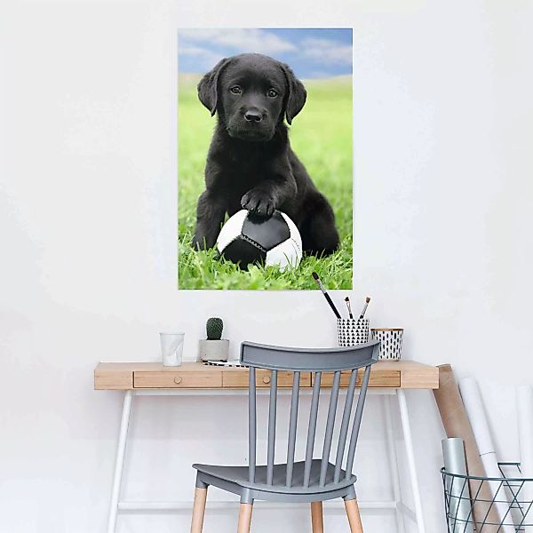 Reinders Poster "Labrador Welpe Fußball", (1 St.) günstig online kaufen